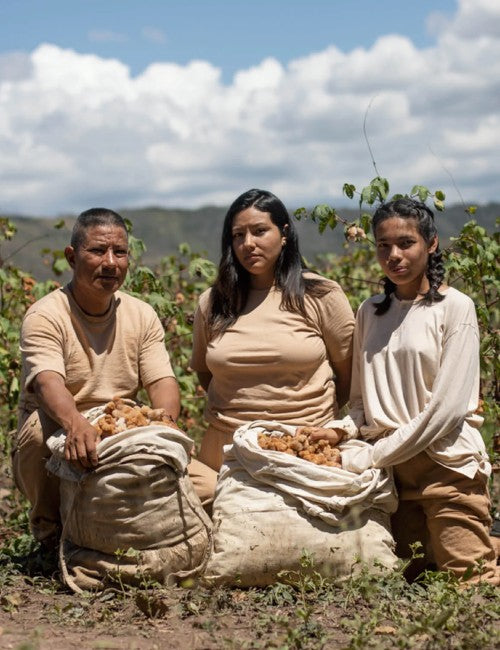 Three people kneeling in a farm field with large burlap sacks filled of produce under a blue sky with clouds.
