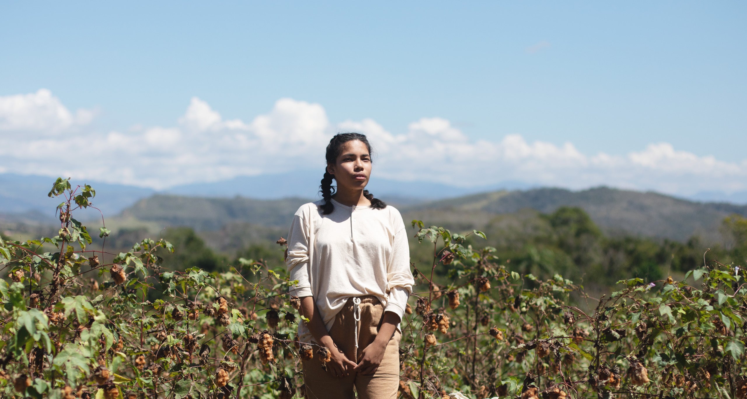 WILD_CARD_WOMAN_IN_FIELD_DESKTOP