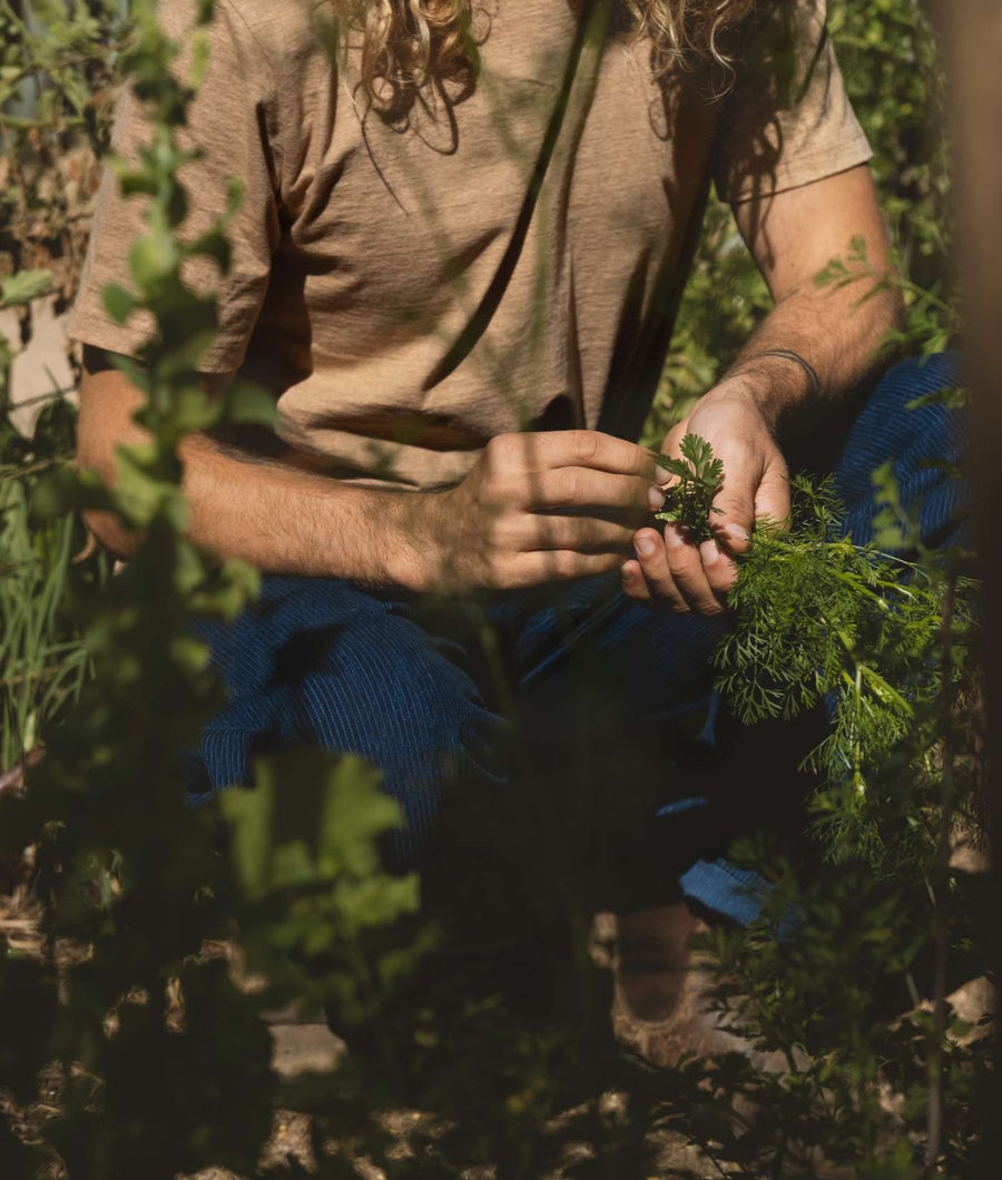 A person wearing a beige t-shirt and blue pants while holding a plant in a garden setting - Industry of All Nations