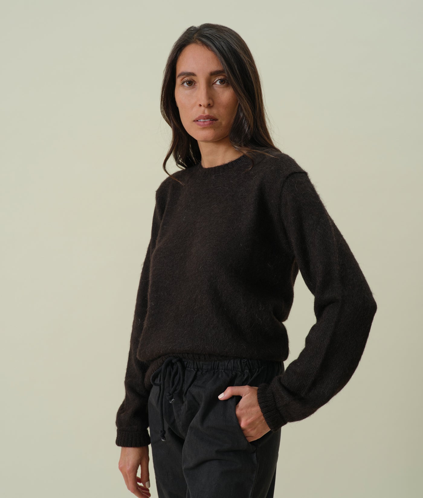 Alpaca Wool Crewneck Sweater | Industry of All Nations